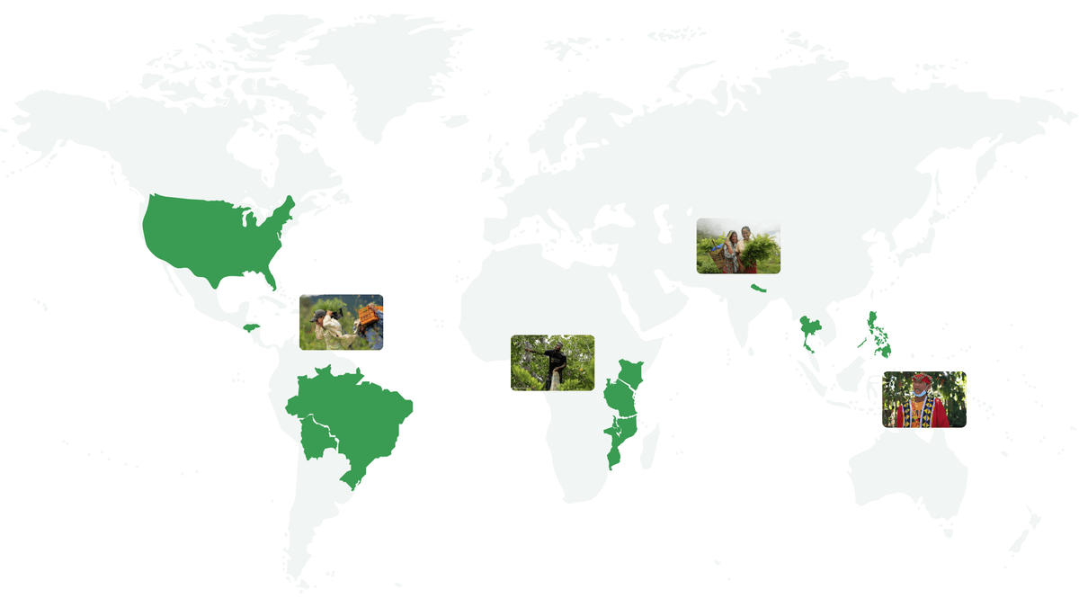 OneSeed global planting sites 2025