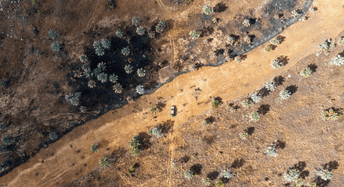 Environmental security