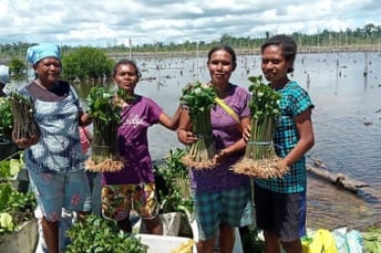 Community members at a nursery