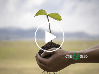 Video thumbnail: Life is an echo