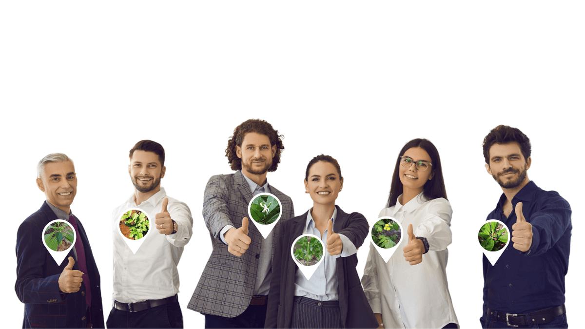 Employee forest for mobility companies