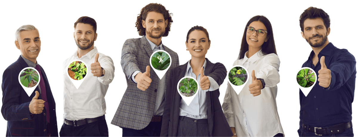 Employee tree gifting