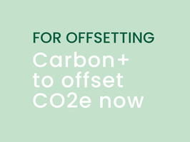 OneSeed tree planting for offsetting: Carbon+ to offset CO2e now